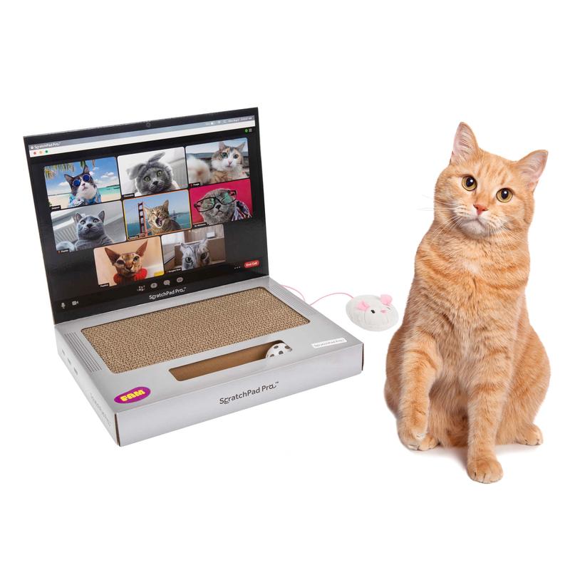 Get Your Cat Working With You!